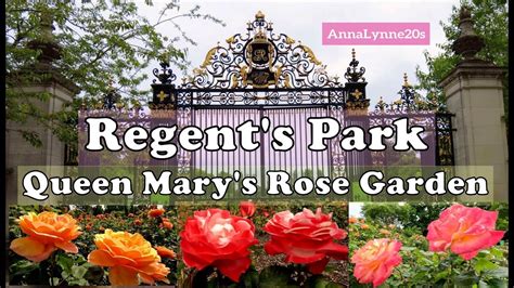Regents Park Queen Marys Rose Garden Royal Park Walk In Early Bloom