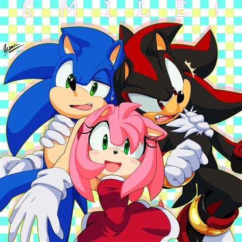 Pin By Felin Rosy On Sonic Sonic Shadow And Amy Sonic And Shadow