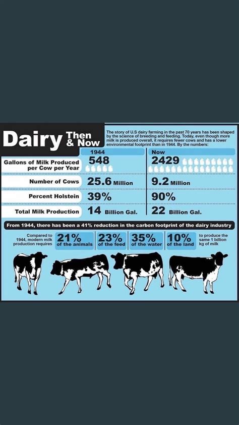 Average Milk Production Of A Holstein Cow Per Day In India