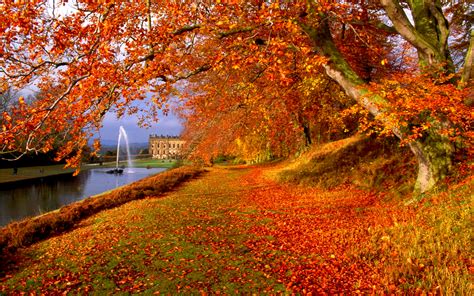 Fall Full Hd Wallpaper And Background Image 2560x1600 Id179301