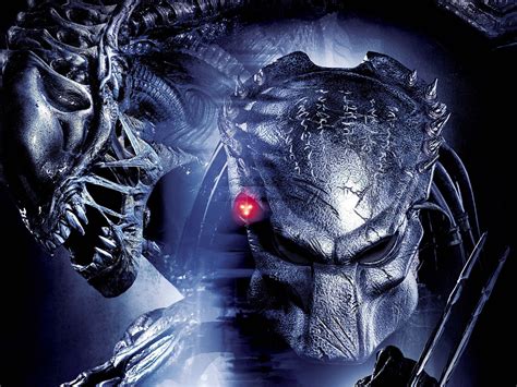 Aliens Vs Predator Games Sci Fi Alien Movies H Wallpaper 1600x1200
