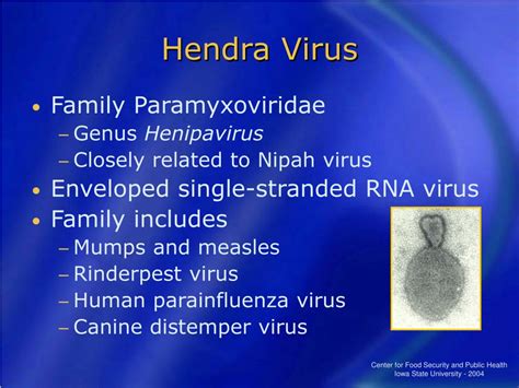 Ppt Hendra Virus Powerpoint Presentation Free Download Id220413