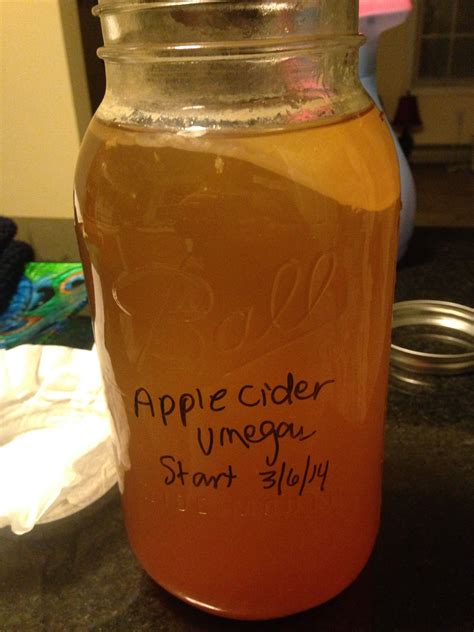 Homemade Apple Cider Vinegar With The Mother Homemade Apple Cider