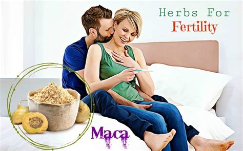List Of 15 Best Herbs For Fertility