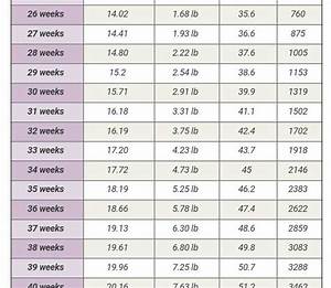 Baby Growth Chart Week By Week During Pregnancy Pregnancywalls