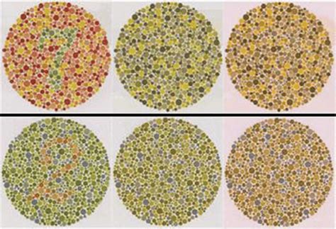 Take The Ishihara Test Color Sighted Individuals Will Perceive The