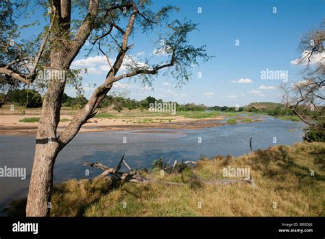 Limpopo River Mapungubwe National Park South Africa Stock Photo Alamy