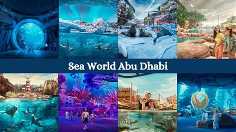 Yas Theme Parks Welcome Seaworld Abu Dhabi Discover The Eight