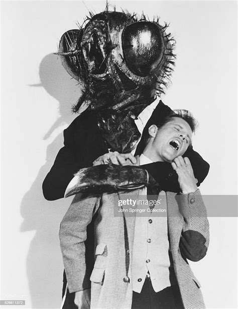 Movie Still From The 1958 Science Fiction Film The Fly In This