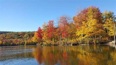 Fall Foliage On The Lake Upstate New York By Dwells Hd Wallpaper