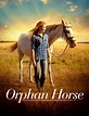 Orphan Horse (2018) - FilmAffinity