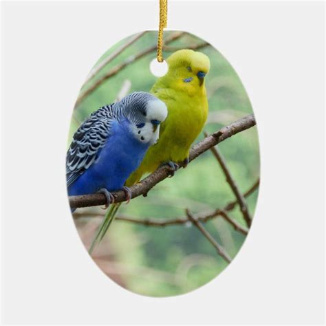 Two Blue And Yellow Parakeets Sitting On A Branch Ornament Hanging From