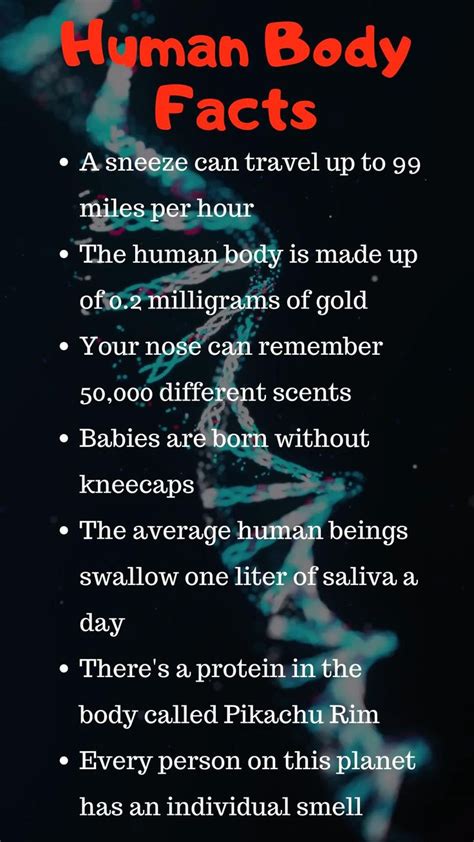 Interesting Facts About The Human Body