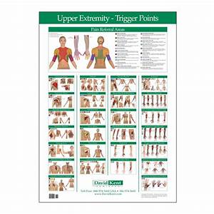 Trigger Point Chart Upper Extremity Therapy Charts