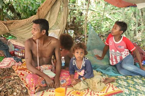 They make fire with their hands and rattan and meranti, hunt every morning to provide the families of the tribe with daily food. Malnourished Orang Asli Toddler Dies From Measles Sweeping ...