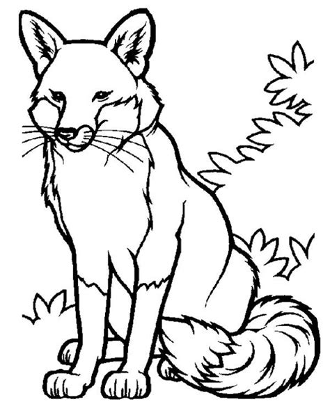 animal coloring pages  kids kids coloring pages etsy