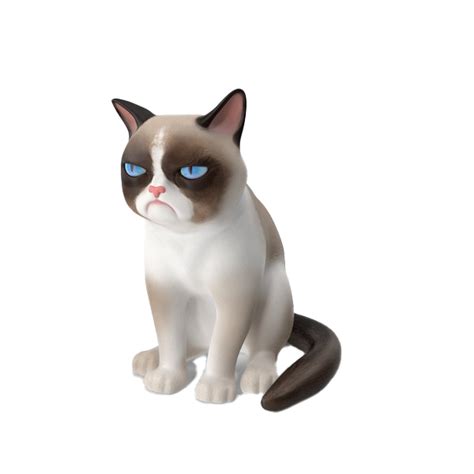 Grumpy Cat Png Transparent Picture Png Mart