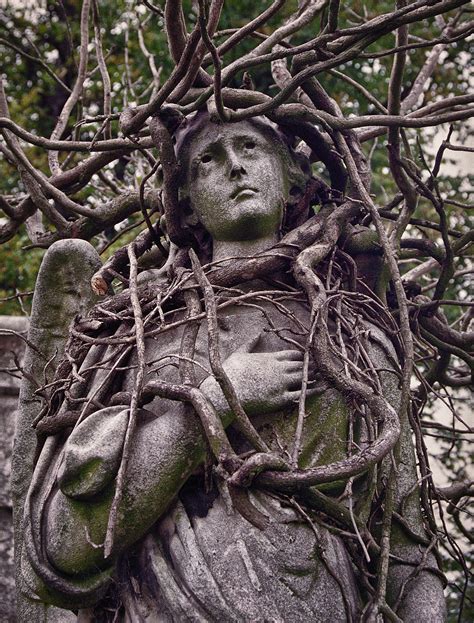 Vine Covered Angel London Cemetery Angels Cemetery Statues