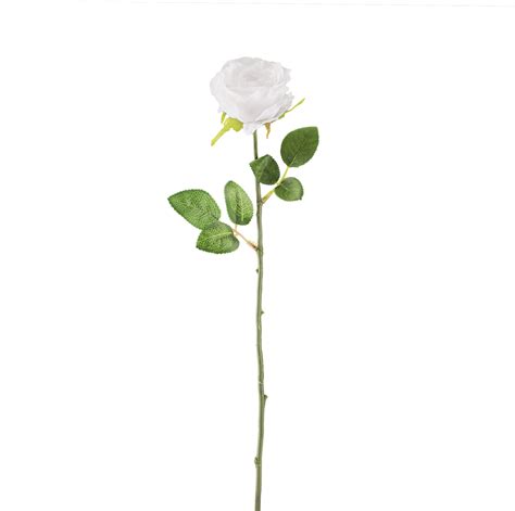 Download White Rose Download Transparent Png Image White Flower Stem