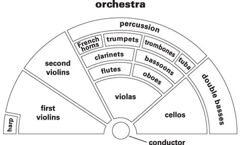 Orchestra Definition And Meaning Britannica Dictionary