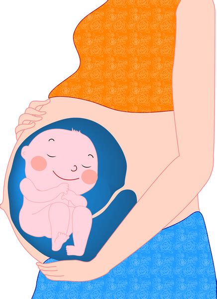 cartoon pregnant woman vectors graphic art designs in editable ai eps svg cdr format free