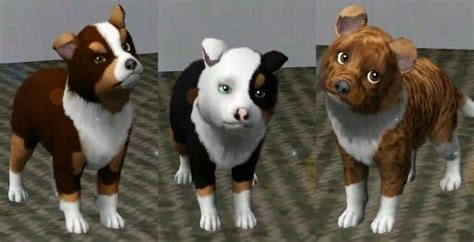 Rights To Mist07000 Sims Pets Dog Drawing Sims 3