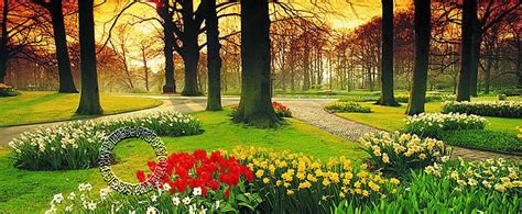 Floral Sunset Pr1457 Wall Mural Mid Size Wall Murals The Mural Store