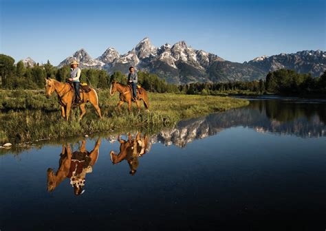 See America On These 5 Horseback Riding Tours Drive The Nation
