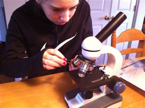 10 Cool Things To Look At Under A Microscope Teach Kids Engineering