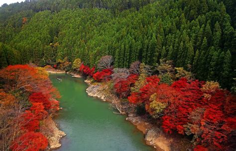 Autumn Trees In Kyoto Japan 高清壁纸 桌面背景 2048x1312 Id689199