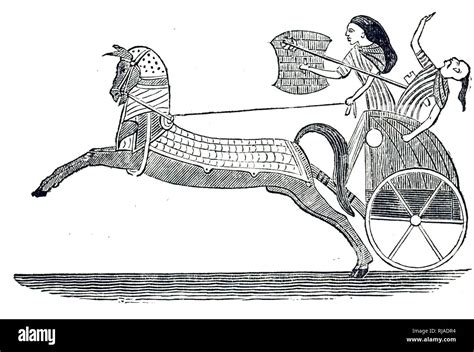 Sumerian Chariot With Flank Wheels