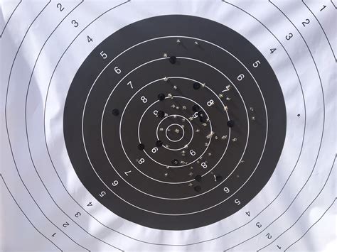 Cg63 Shooting At 200m An 300m Thanks Swede And Fson Gunboards Forums