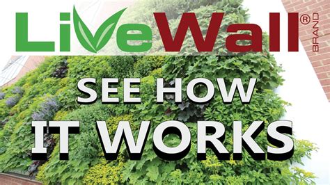 How The Livewall Living Wall System Works Youtube