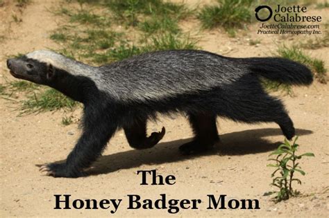 The Honey Badger Mom