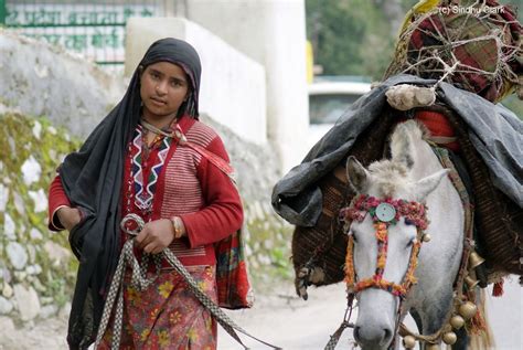 Elegant Van Gujjar Forest Gypsy Women In Uttarakhand India