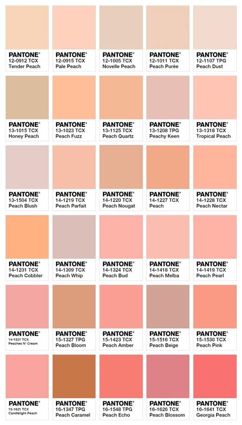 Nude Color Palette Peach
