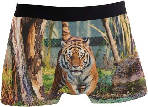 Jungle Wildlife Tiger Big Cat Boxer Briefs For Men Boy Youth Mens