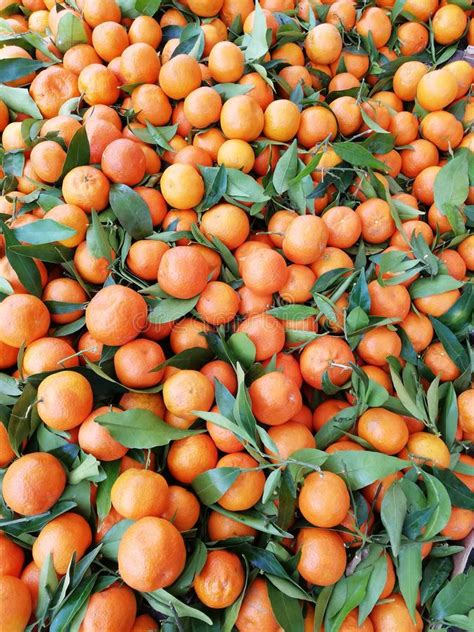 Fresh Mandarins With Green Leaves Stock Image Image Of Organic