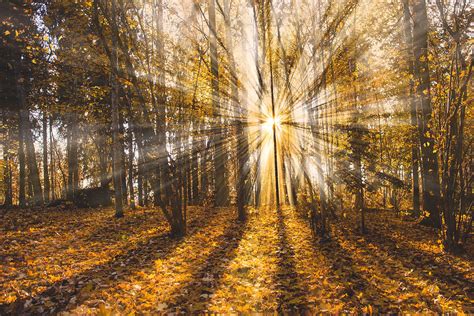 Créez Des Rayons Lumineux Sur Vos Paysages Avec Photoshop La Retouche