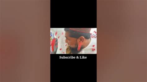 جانم سلطانم کی اینٹری😍😍 tlp viral shorts youtube