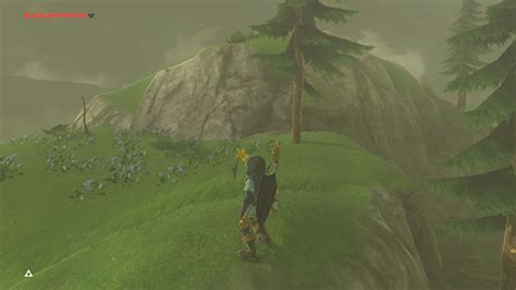 Lanayru Korok Seed 45 The Legend Of Zelda Breath Of The Wild Wiki