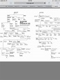 Genealogy Chart, Genealogy Records, Ancestry Genealogy, Genealogy ...
