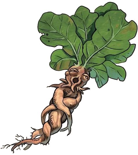 Mandrake Delicious In Dungeon Wiki Fandom