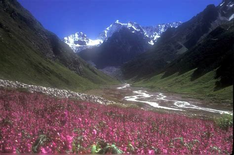 Fountain is witnessing a vast release worldwide. Valley of Flowers National Park India - Images - XciteFun.net