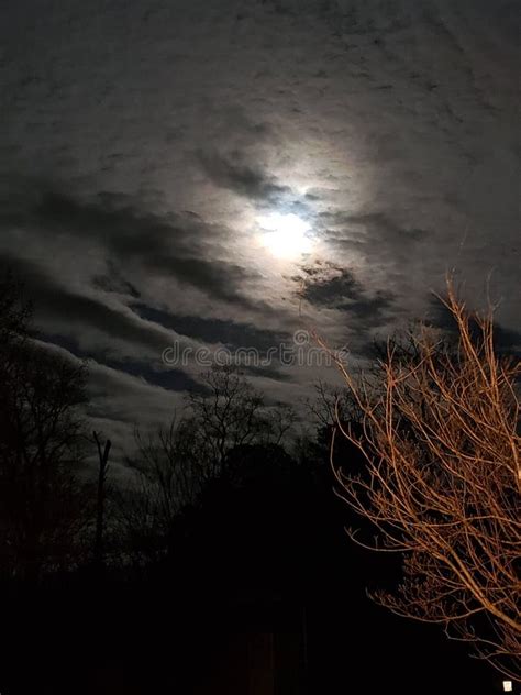 Creepy Moon With Wicked Trees And Clouds Stock Image Image Of Creepy