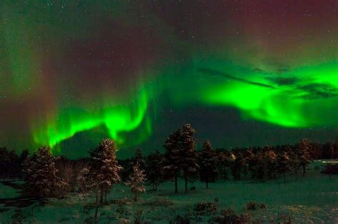Magnificent Aurora Borealis Display Over Kakslauttanen Arctic Resort