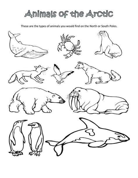 Habitat coloring pages for children to discover the animals of the arctic tundra. Comprensión de lectura 2 pg. Dos idiomas es un sitio web ...