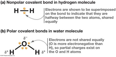 Ch4 is nonpolar because all of the nonpolar covalent bonds are spaced within a tetrahedral structure around the molecule. Ashes' Bioworld: Reactivity and Bonding