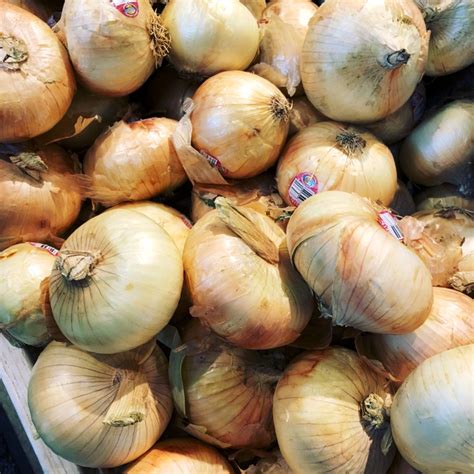 Vidalia Onions Information Recipes And Facts