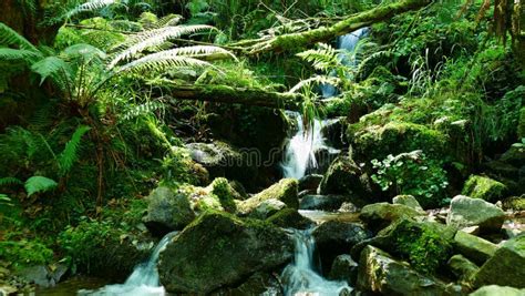 Beautiful Natural Waterfall Between The Vegetation And The Stones Of